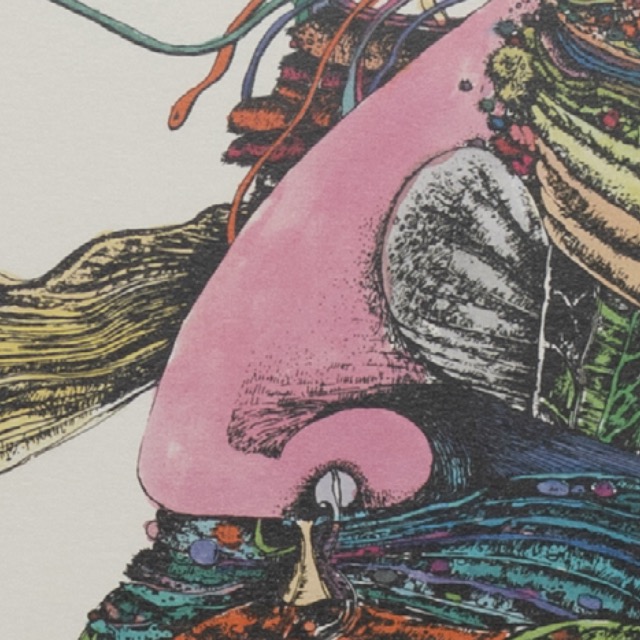 Portuguese illustration thumbnail